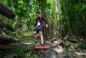 BIB: 
                            <button type="button" onclick="openModal(19393654)" class="btn btn-primary btn-sm float-right btn-popup" data-toggle="modal" data-target=".modal-high-quality">
                        <i class="fas fa-shopping-cart"></i> Add to Cart
                    </button>
                                            <button type="button" onclick="isThisMe(19393654, true)" class="btn btn-success btn-sm float-right btn-popup btn-isme hidden" data-toggle="tooltip" data-placement="bottom" title="นี่คือรูปของคุณใช่ไหม คลิกที่นี่เพื่อเอาเข้าอัลบั้ม">
                        <i class="fas fa-plus"></i> Add to album
                    </button>
                    <button type="button" onclick="isThisMe(19393654, false)" class="btn btn-warning btn-sm float-right btn-popup btn-isnotme hidden">
                        <i class="fas fa-ban"></i> Remove from album
                    </button>